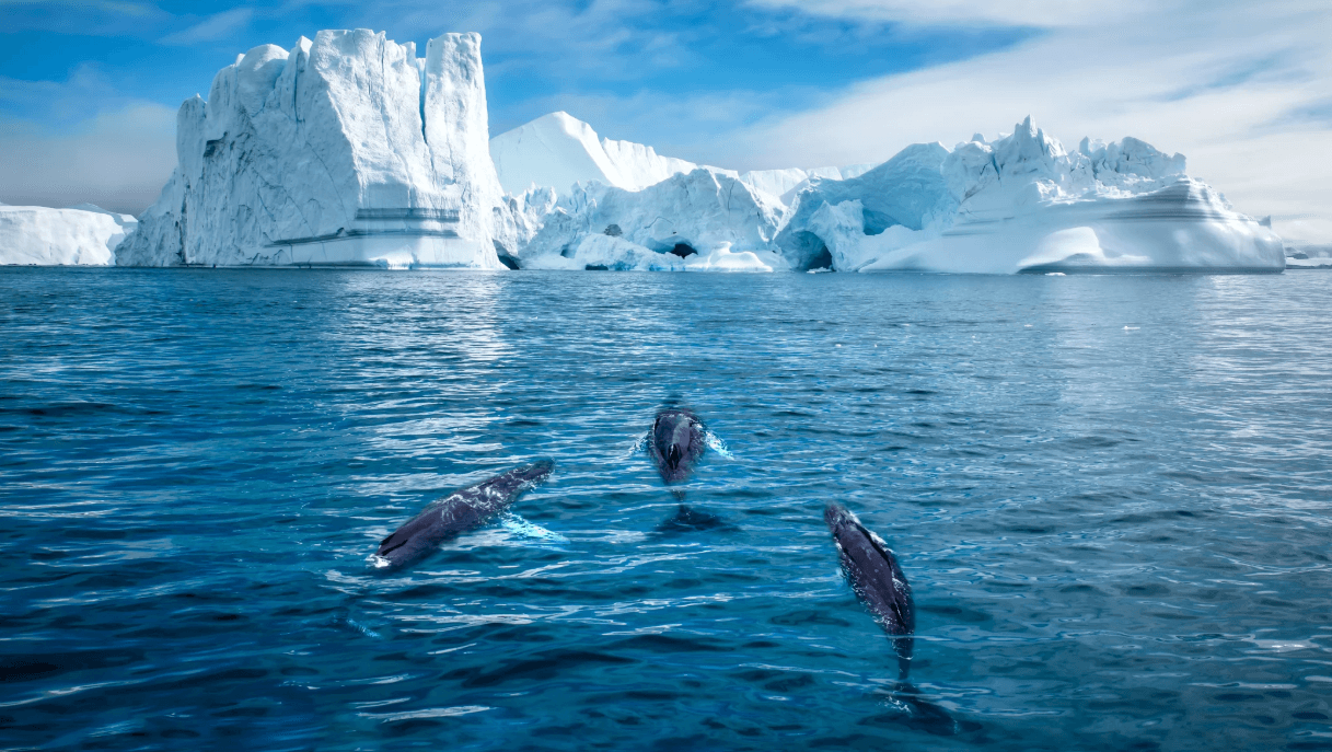 How to Experience the Spirit of Greenland